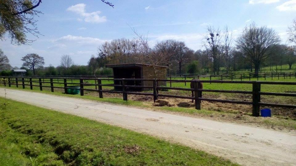 gite des écuries - Ferienwohnung La Baconnière