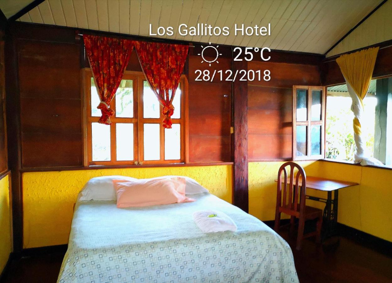 Los Gallitos Eco Lodge - B&B