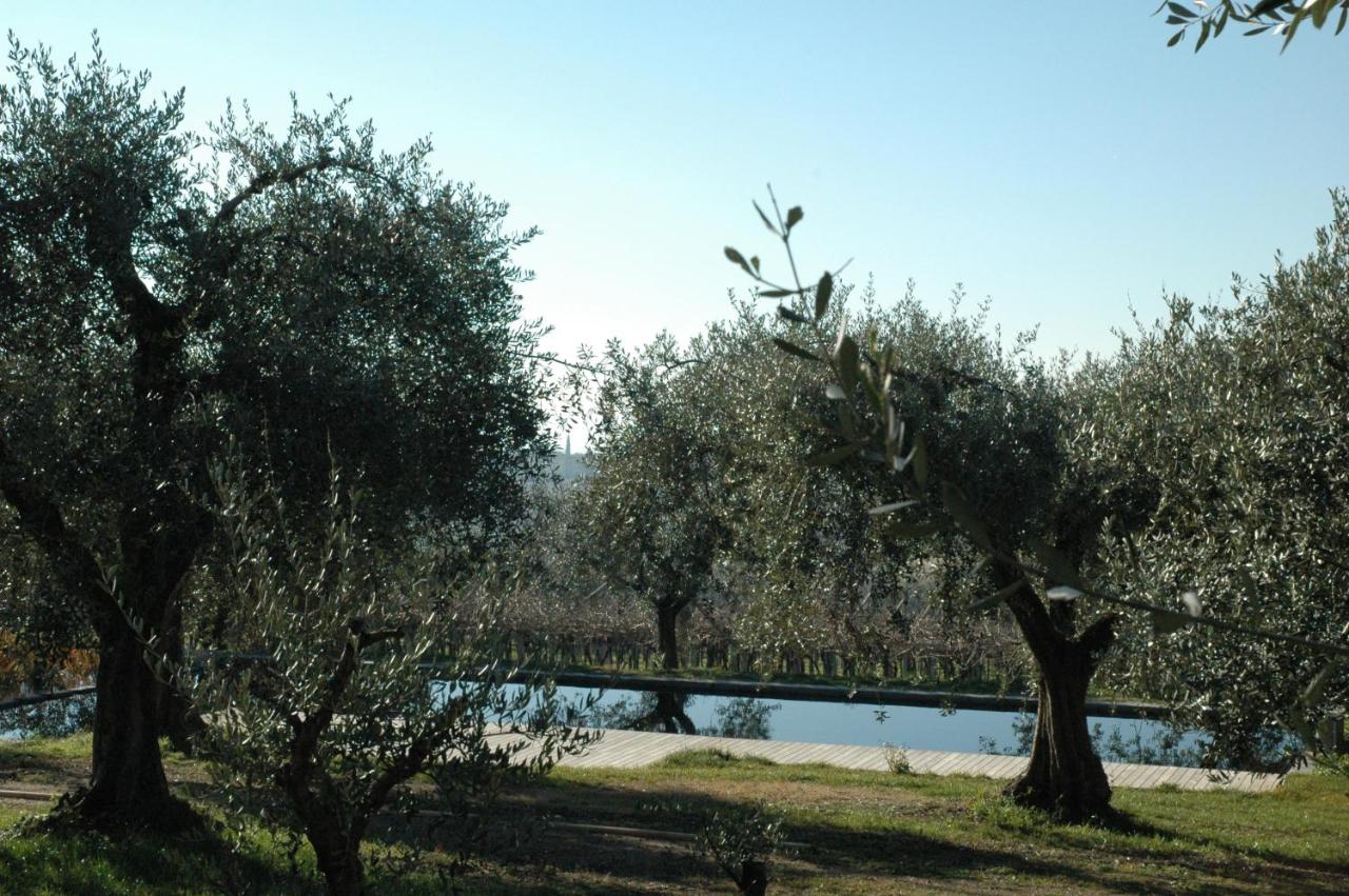 La Luna - dependance - Ferienwohnung Bardolino