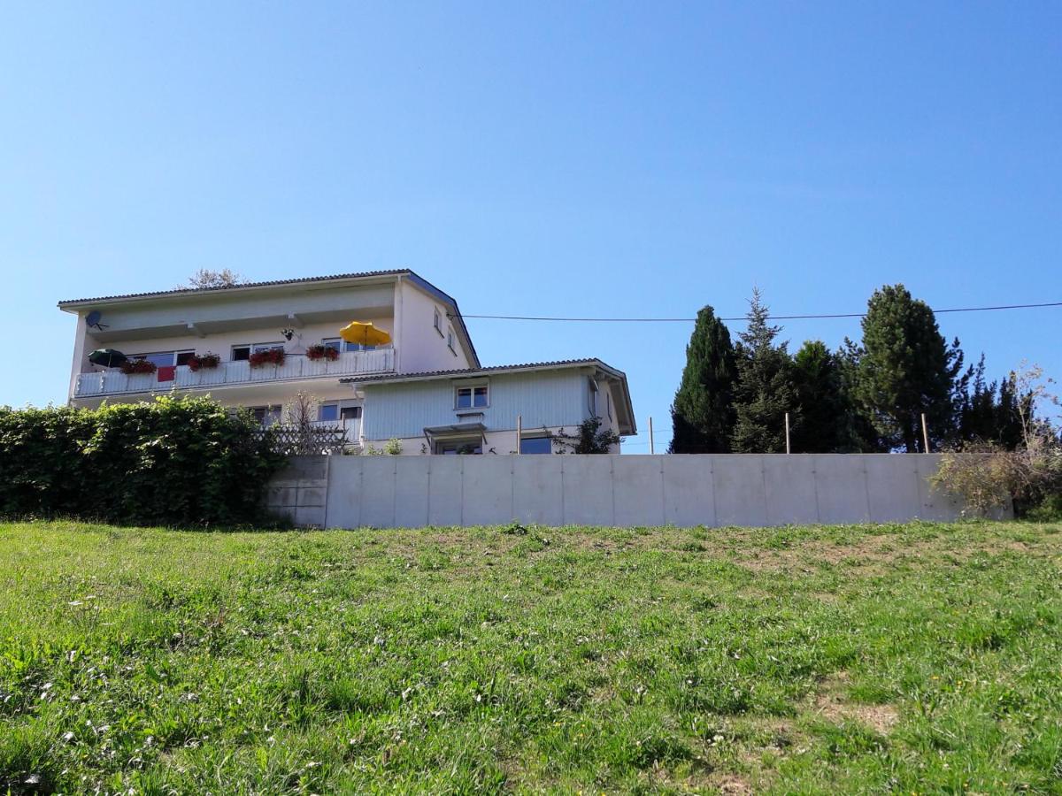 Haus Homann - Ferienwohnung
