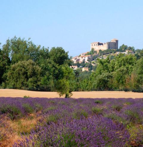 B&B Gréoux-les-Bains - Le Jardin - Bed and Breakfast Gréoux-les-Bains