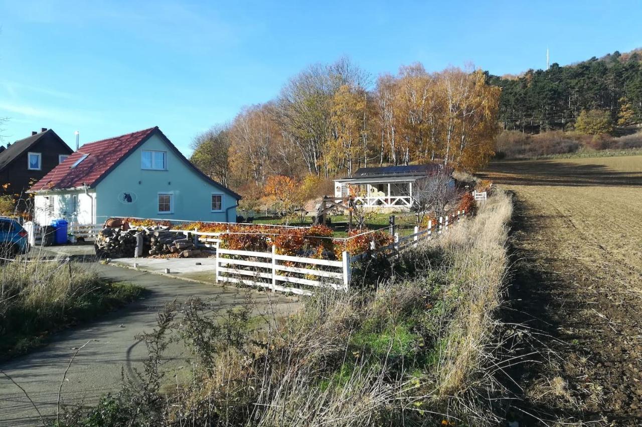 B&B Goslar - Ferienhaus Sonnenschein - Bed and Breakfast Goslar