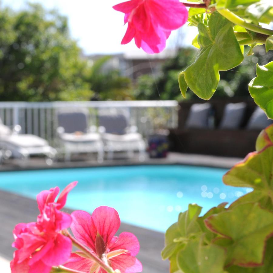 Luxury King or Twin Room with Pool View