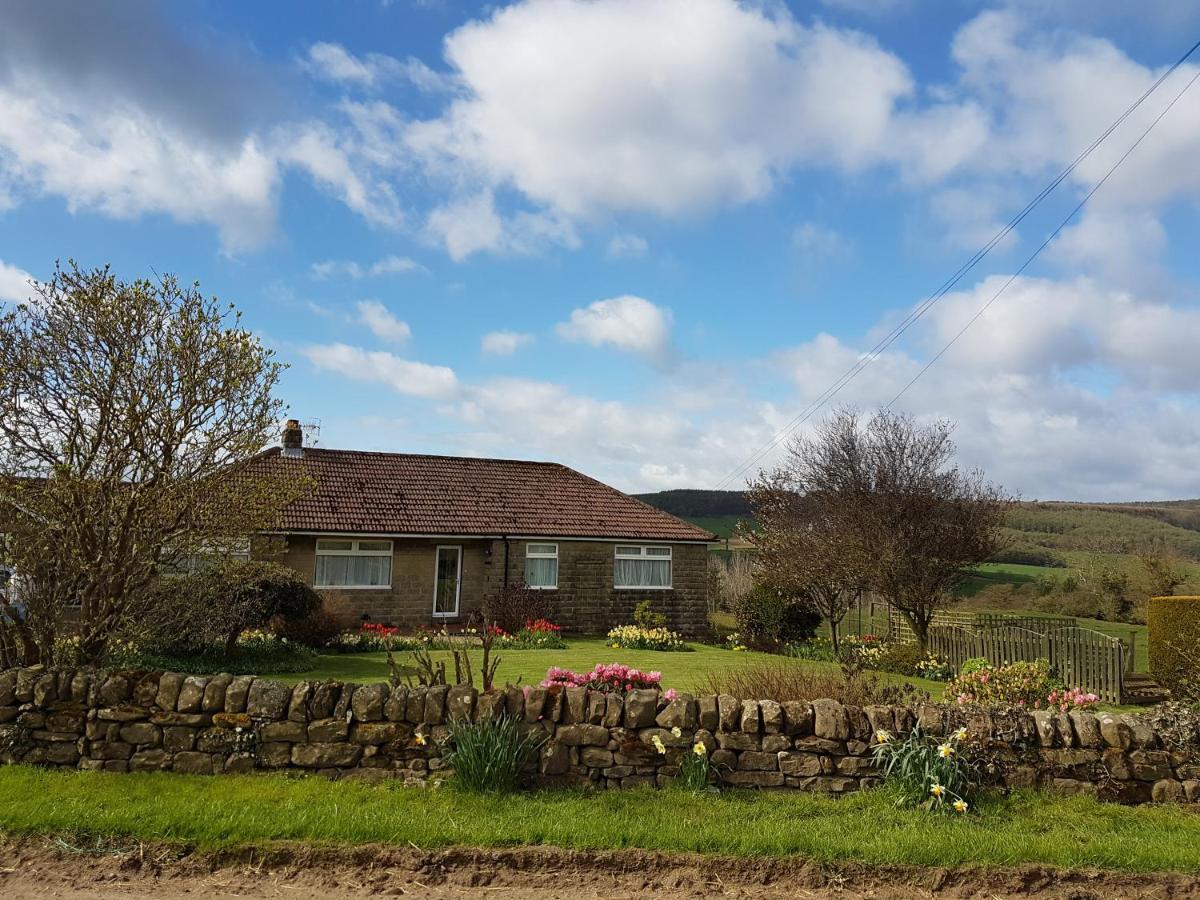 Woodpeckers Cottage - B&B Scarborough