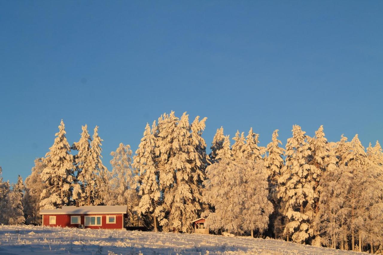 Maatilamatkailu Jänisvaara - B&B Koli