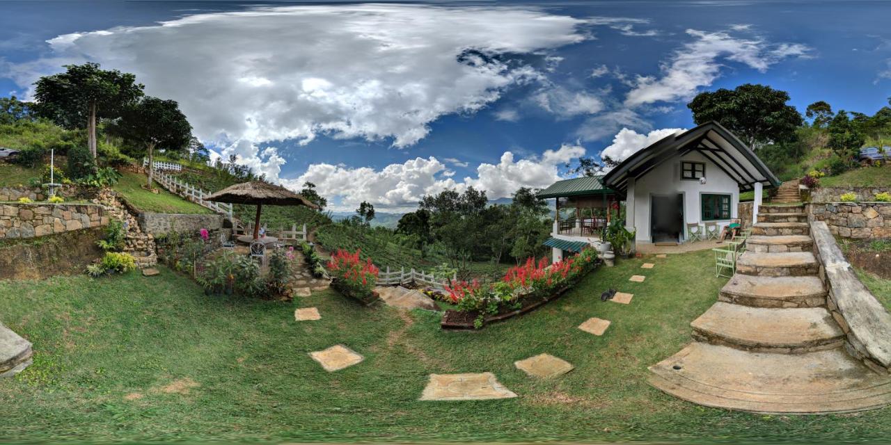 Florence Cottage - B&B
