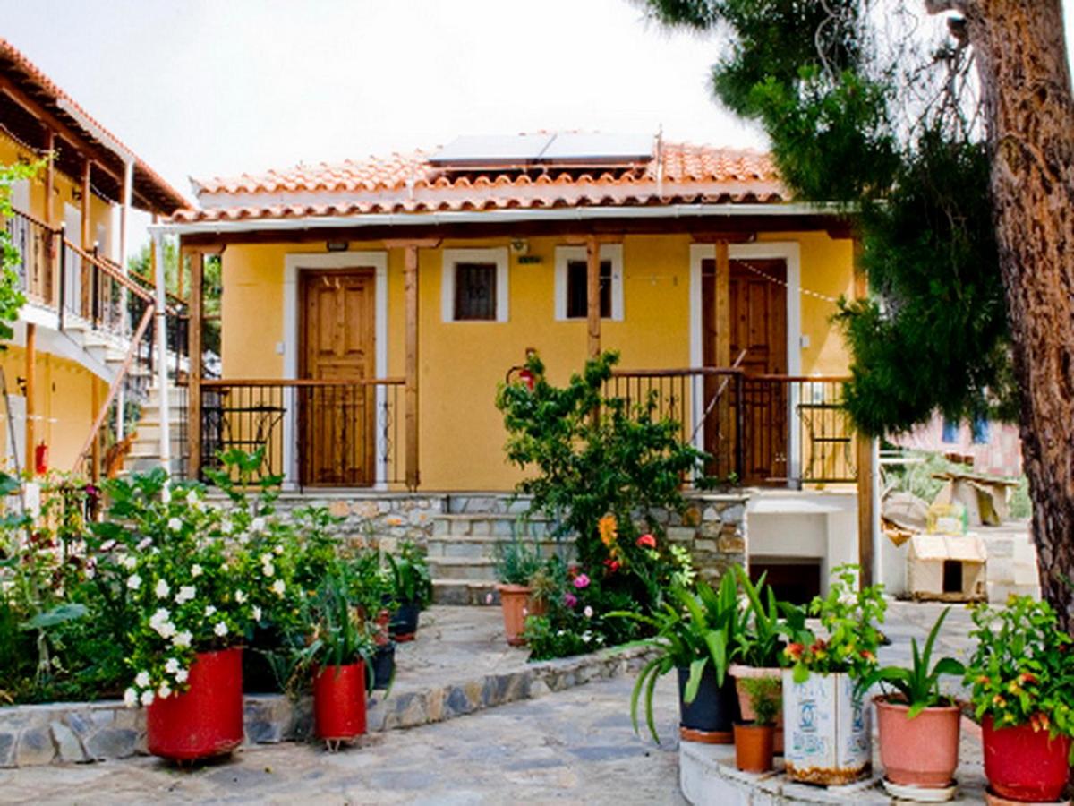 Estudio con vistas al jardín