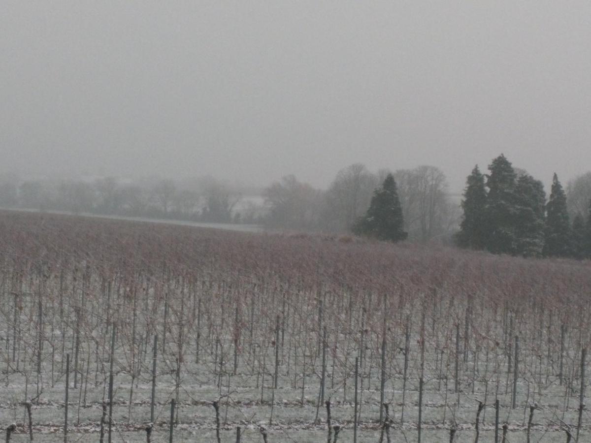 Gästehaus Schumann - B&B Essingen
