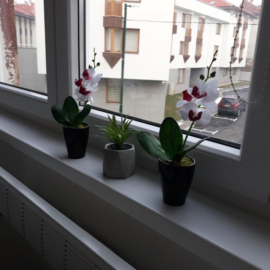 Lovely apartment in Old town 400m from city center Sebilj - Ferienwohnung Sarajevo