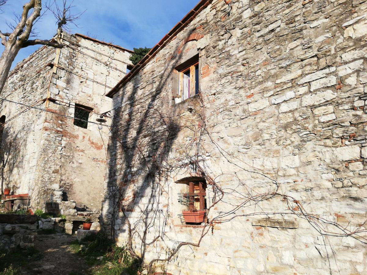 Agriturismo CasaMatta Azienda Agricola - Chambres d'hôtes Calenzano