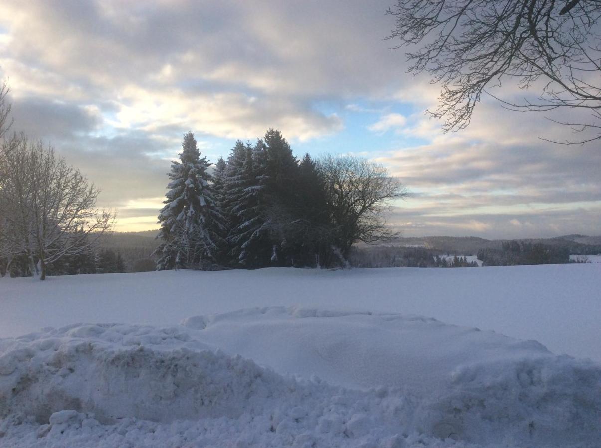Ferienwohnung Harzblick 2 - Chambres d’hôtes Braunlage