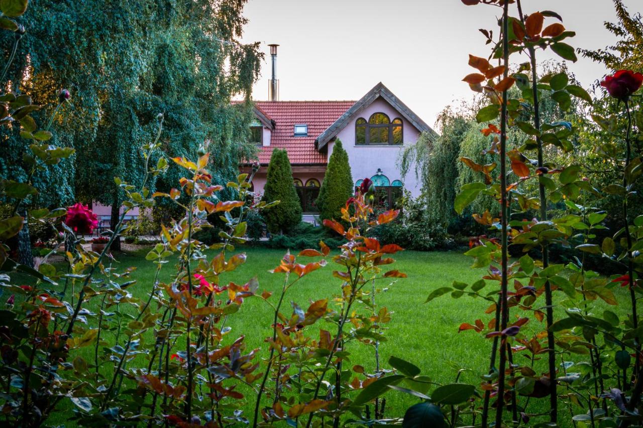 B&B Miniș - Daiconi Boutique House - Bed and Breakfast Miniș