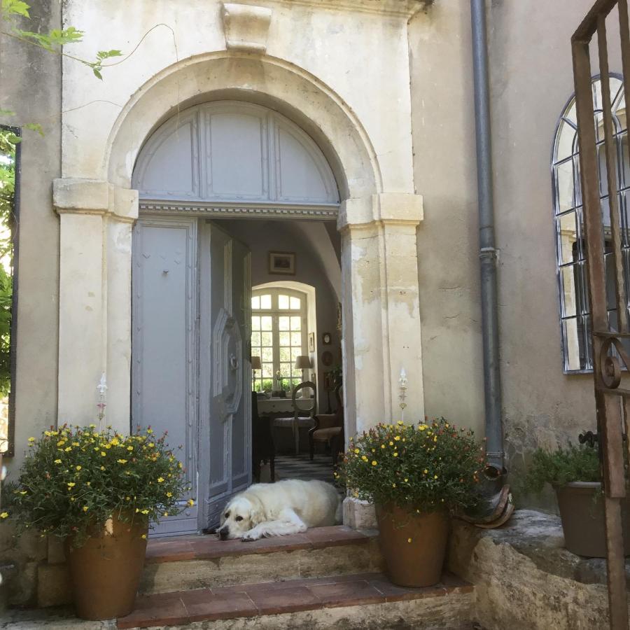 Le petit Figuier - B&B