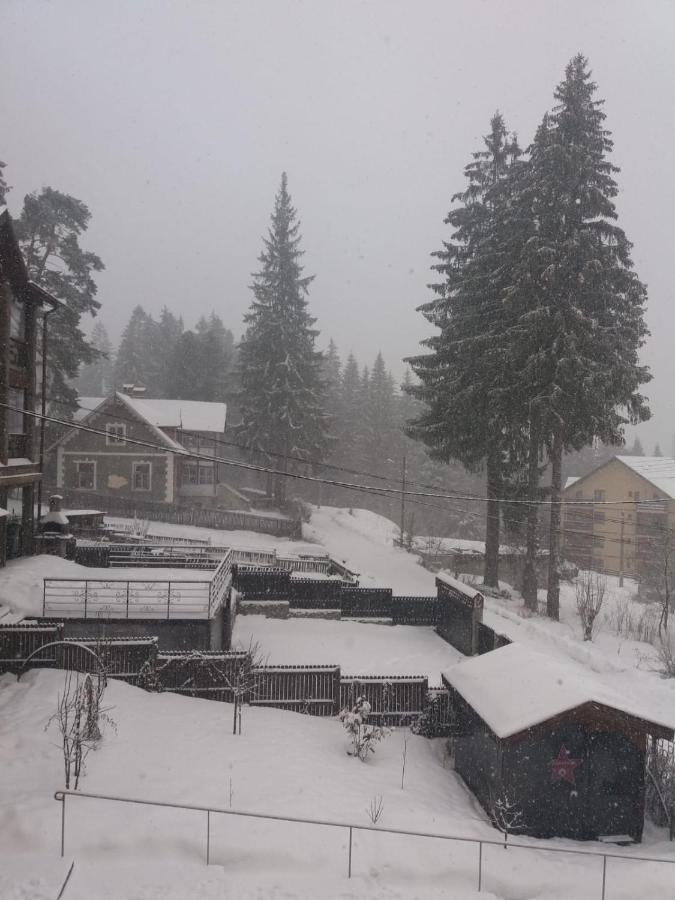 Apartament Alin - B&B Predeal