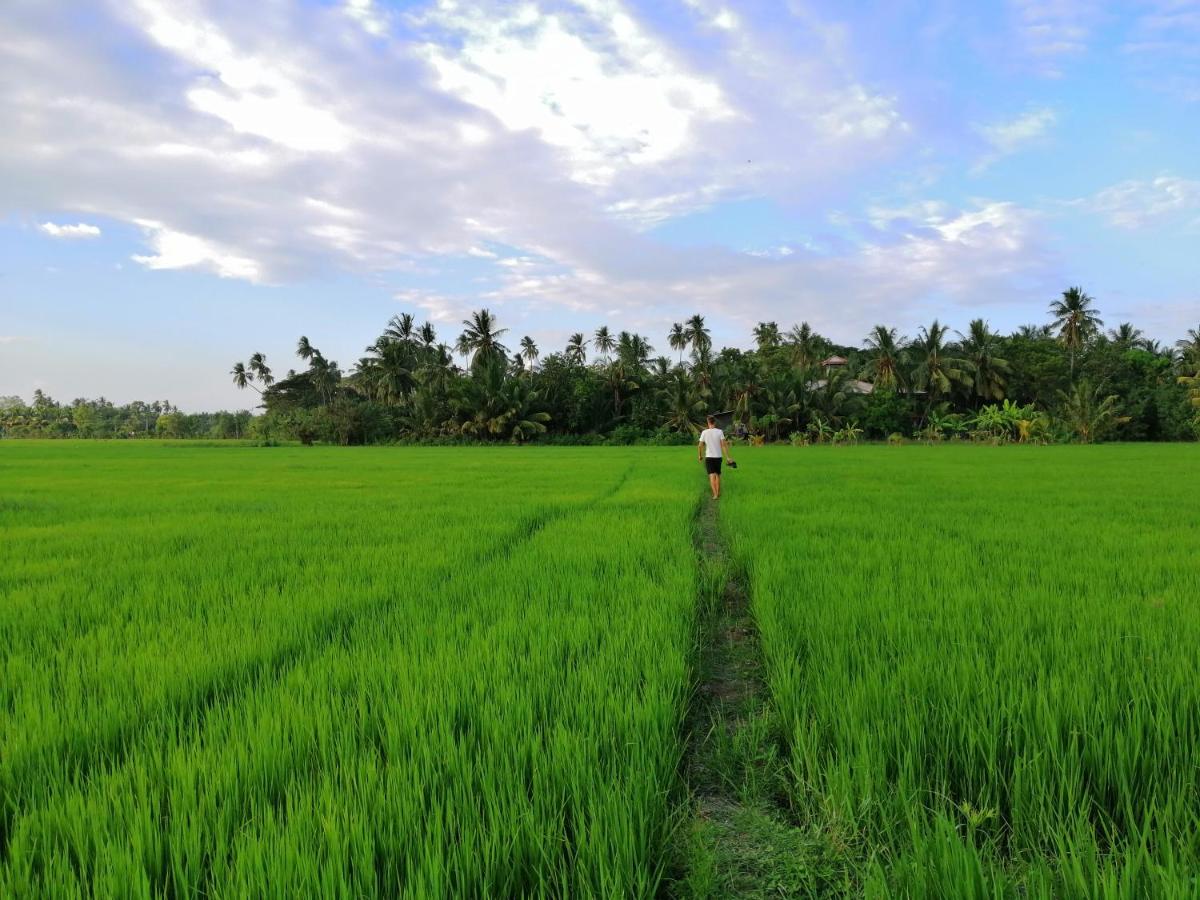 B&B Tissamaharama - Viveka Inn Guest and Yala Safari - Bed and Breakfast Tissamaharama