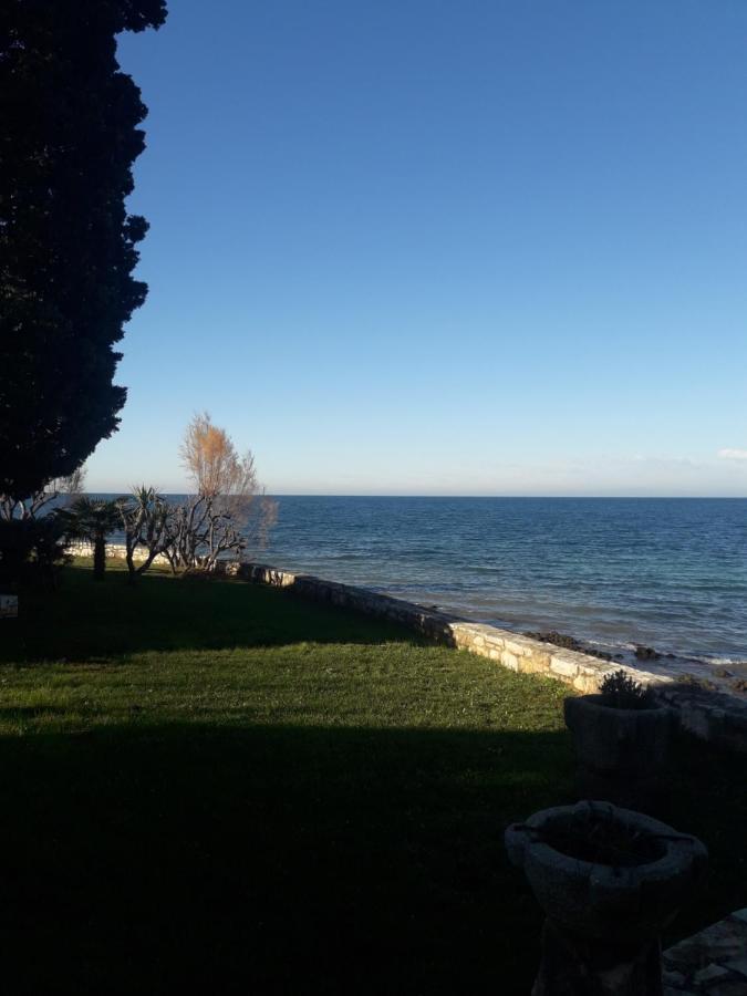 Dajla 66 - Ferienwohnung Dajla