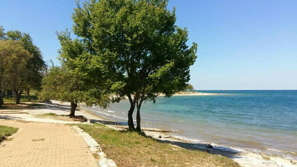 Apartman Daly - Chambres d’hôtes