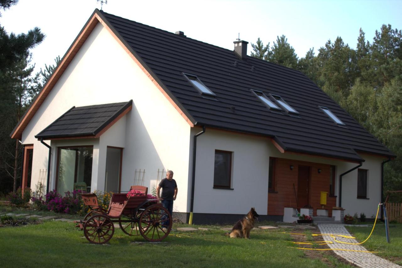 B&B Dzierżążno Wielkie - Koci Grzbiet Agroturystyka - Bed and Breakfast Dzierżążno Wielkie