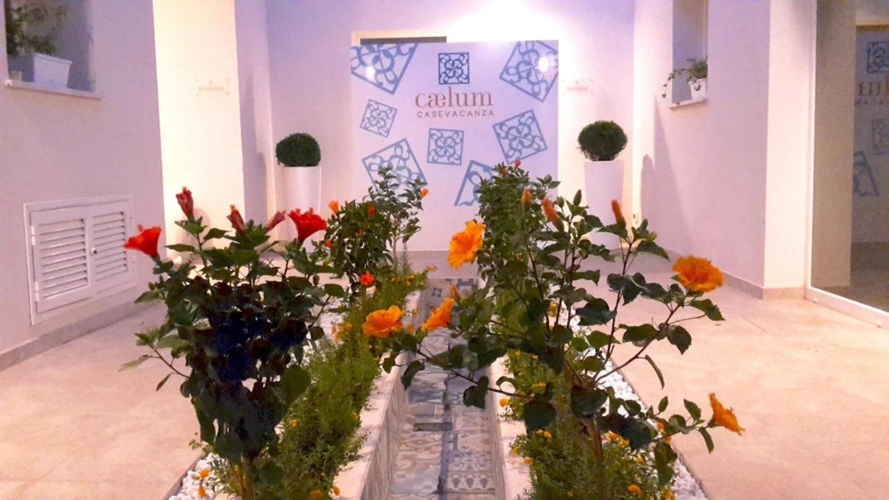 B&B Trapani - Caelum Case Vacanza - Bed and Breakfast Trapani