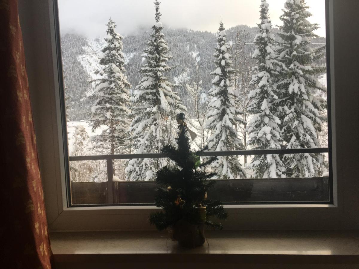 Karwendel-Lodge - B&B