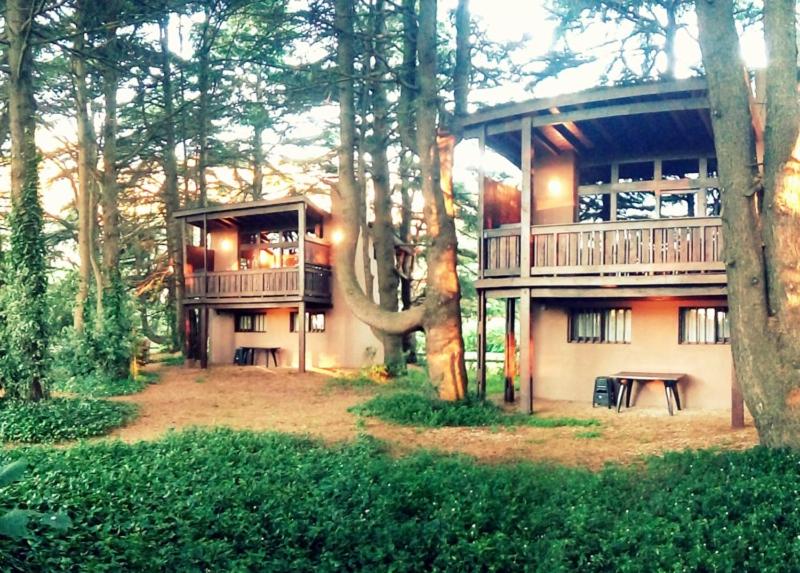 Posta Chimango, Cabañas frente al Golf Los Acantilados - B&B