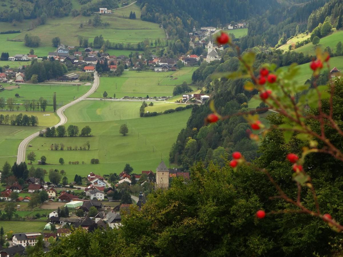 B&B Schöder - Ferienhaus-Römerthurm - Bed and Breakfast Schöder