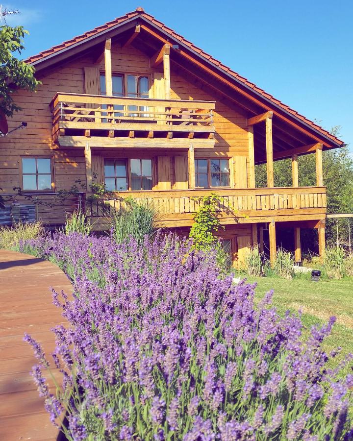 Ferienhaus Alpenpanorama Chalet - Ferienwohnung Mollenberg