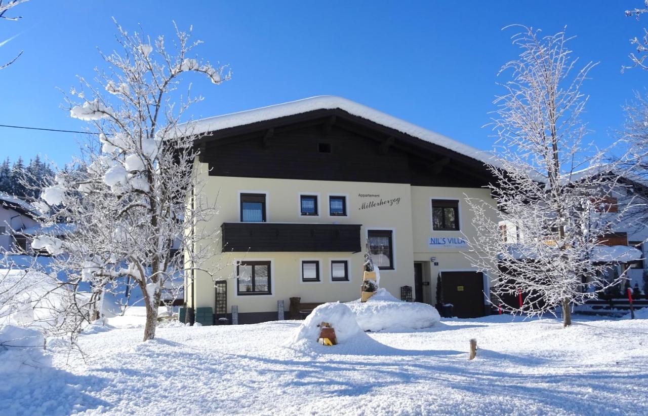 Ferienwohnung Mitterherzog - Ferienwohnung Hochfilzen