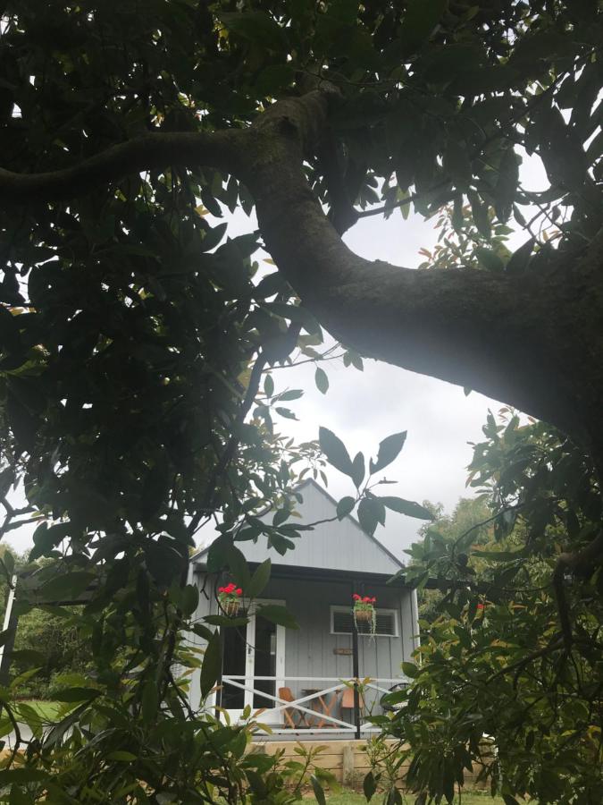 Paradise Grove - B&B Whangamata