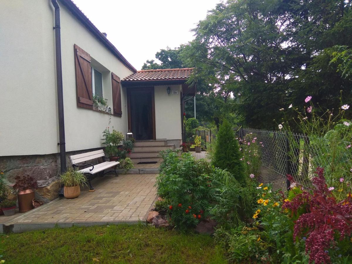 W starej szkole - agroturystyka - Bed and Breakfast