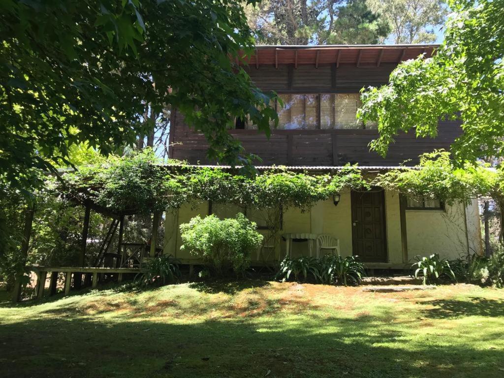 Chalet en el bosque - B&B Costa del Este