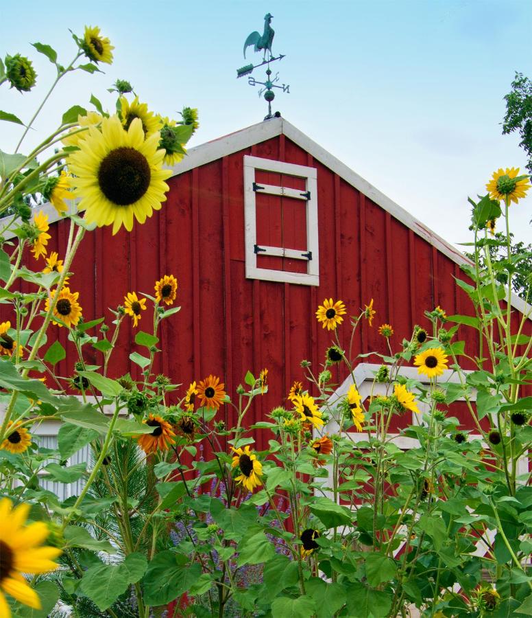 Sunflower Hill Inn - Ferienwohnung