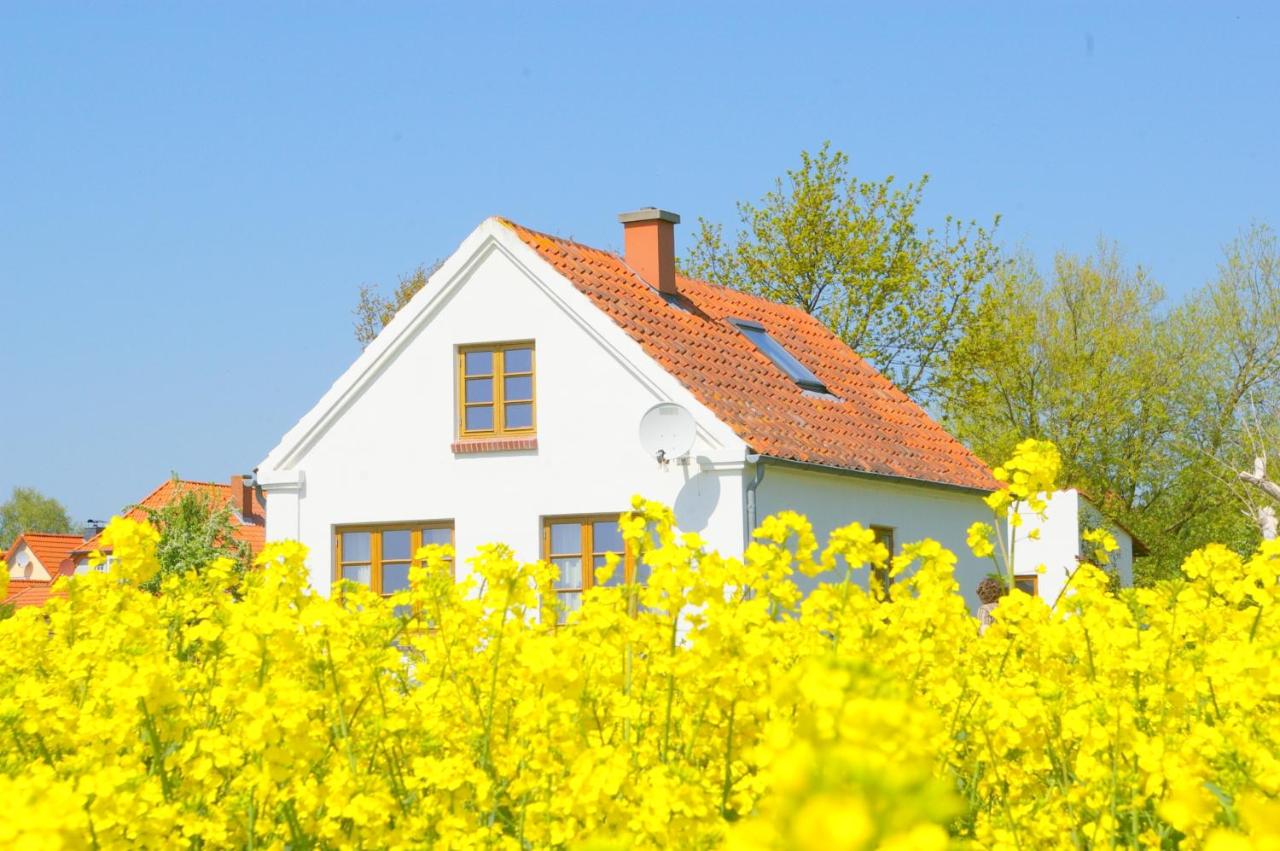 Historisches Inselhäuschen - Surfer/Kiter/Familien - B&B Fehmarn