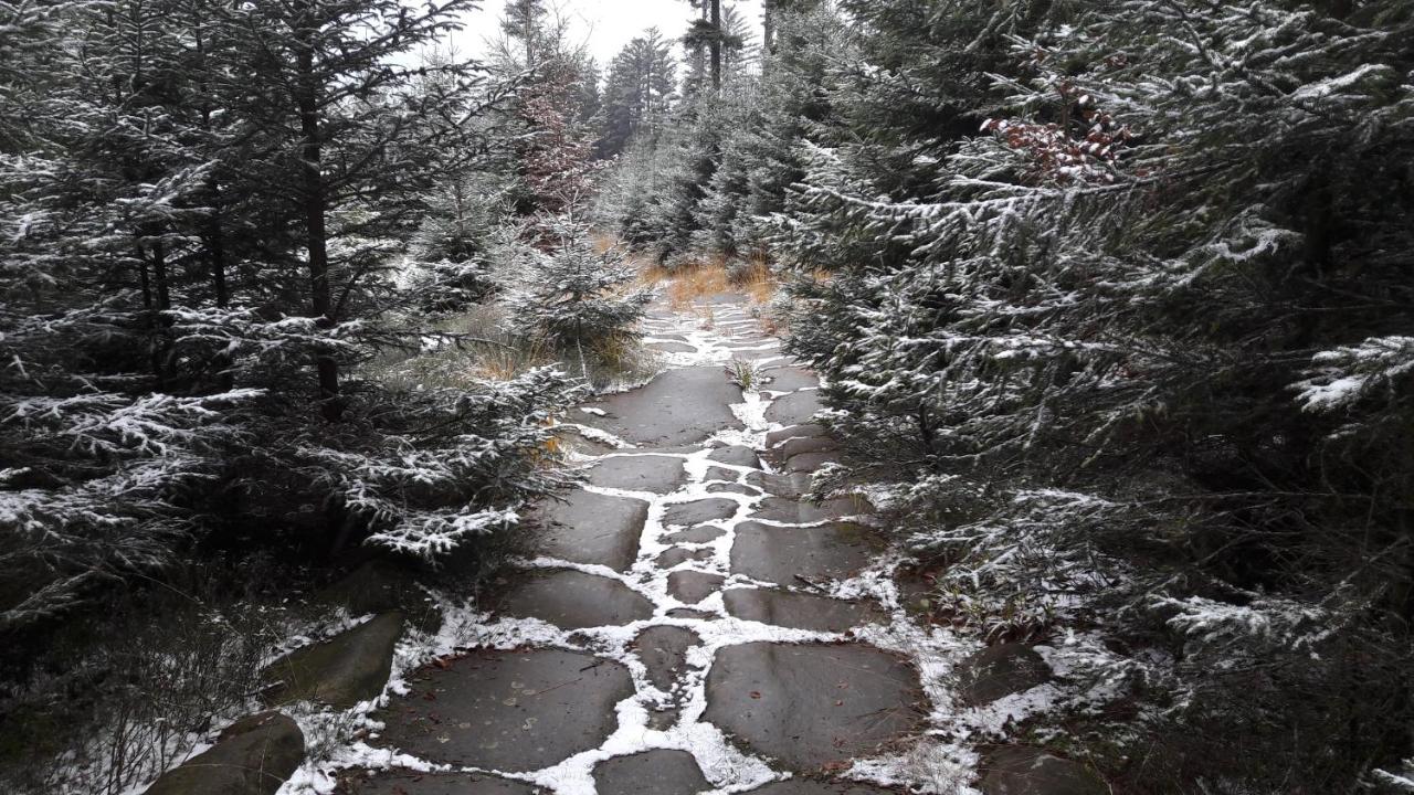 La maison du vannier - Ferienwohnung Raon-lès-Leau