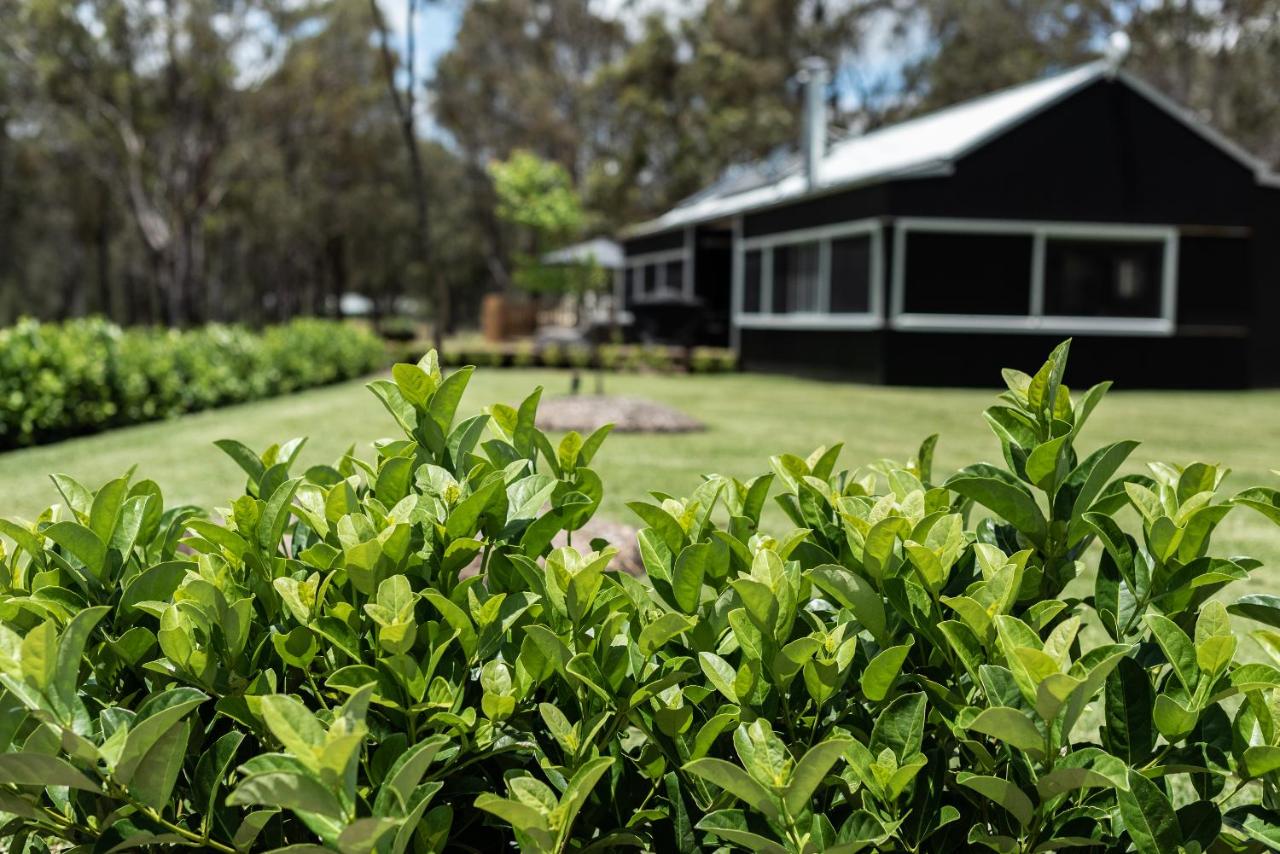 Blackwood Luxury Retreat