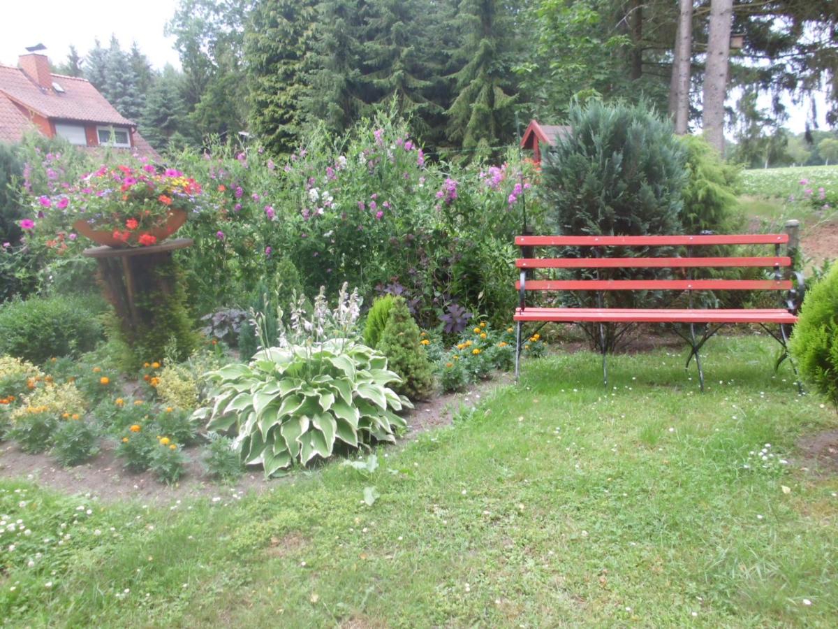 Hintze - B&B