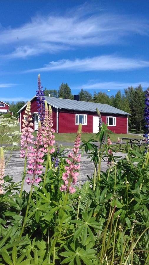 Lapland Stuga & Tours - B&B