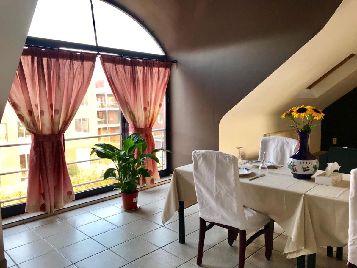 FANTASIA a spacious beautiful apartment & affordable - B&B Nossegem