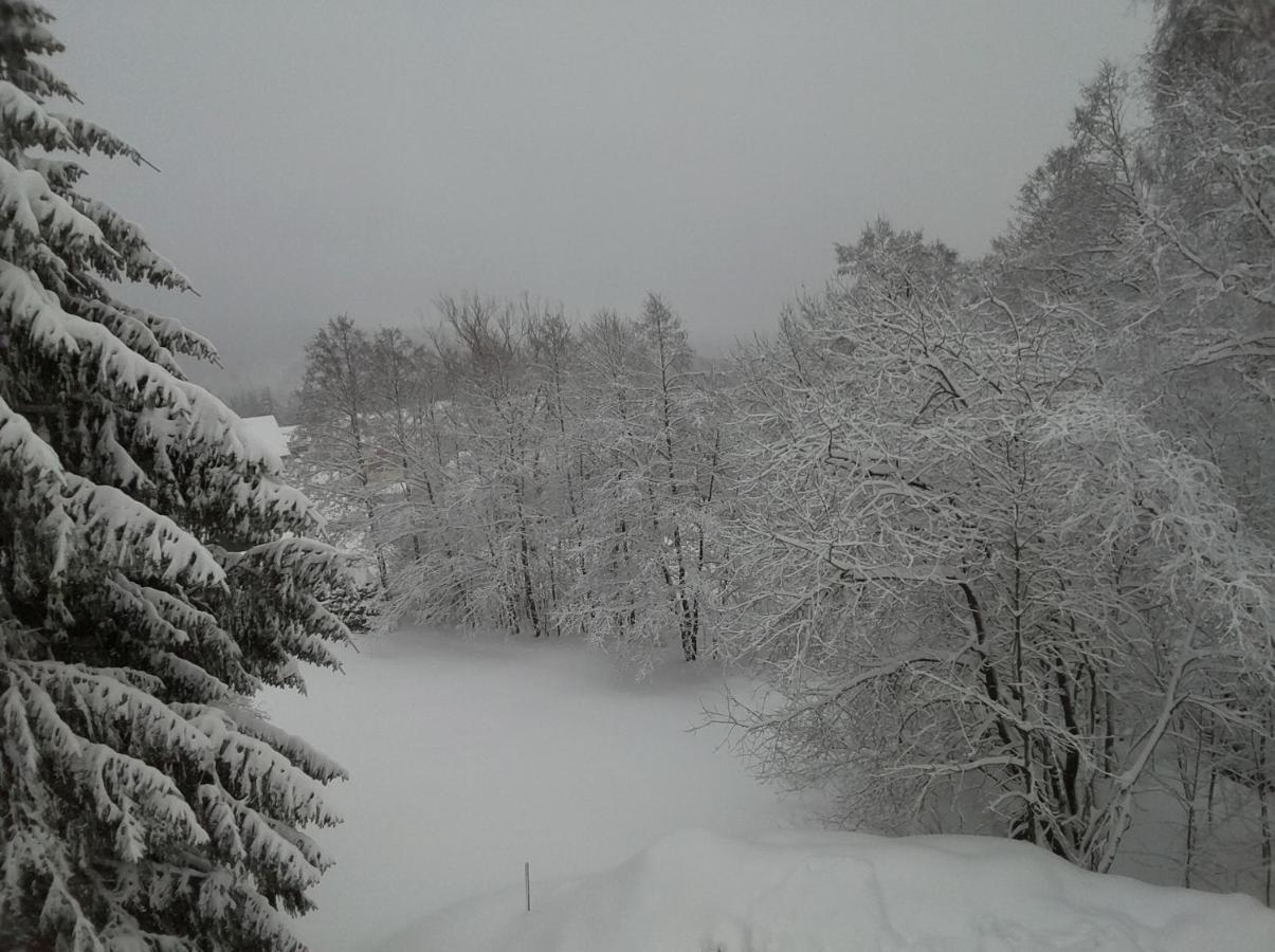 Nový Apartmán Říčky - Ferienwohnung Říčky