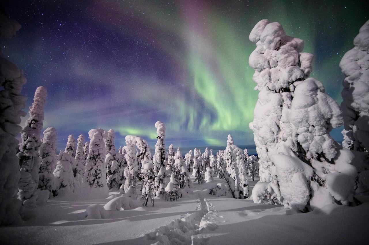 Villa Saarua by the Slopes Ski in, Family & Bike Park, hike trails, National Park, WiFi - Lapland Villas - B&B Ruka