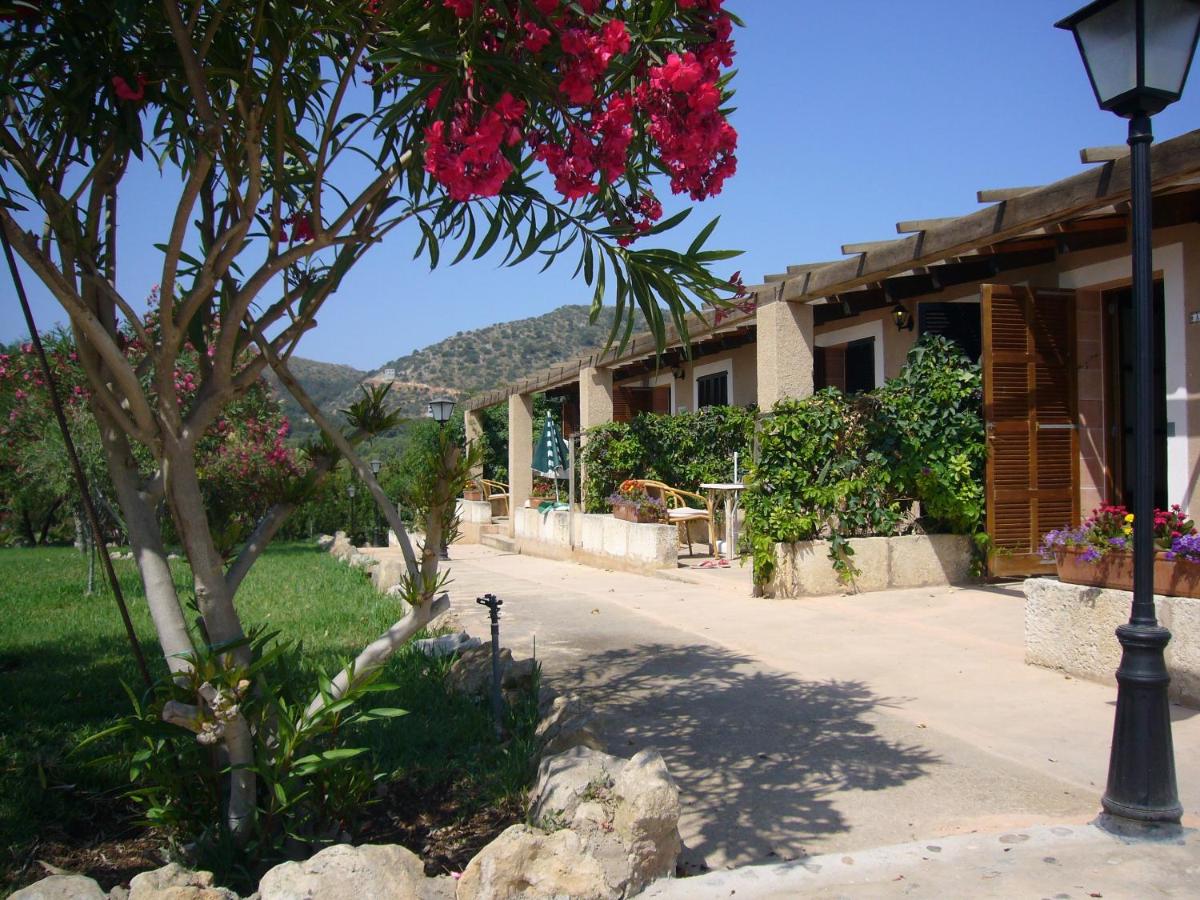 Agroturismo Can Patro - B&B