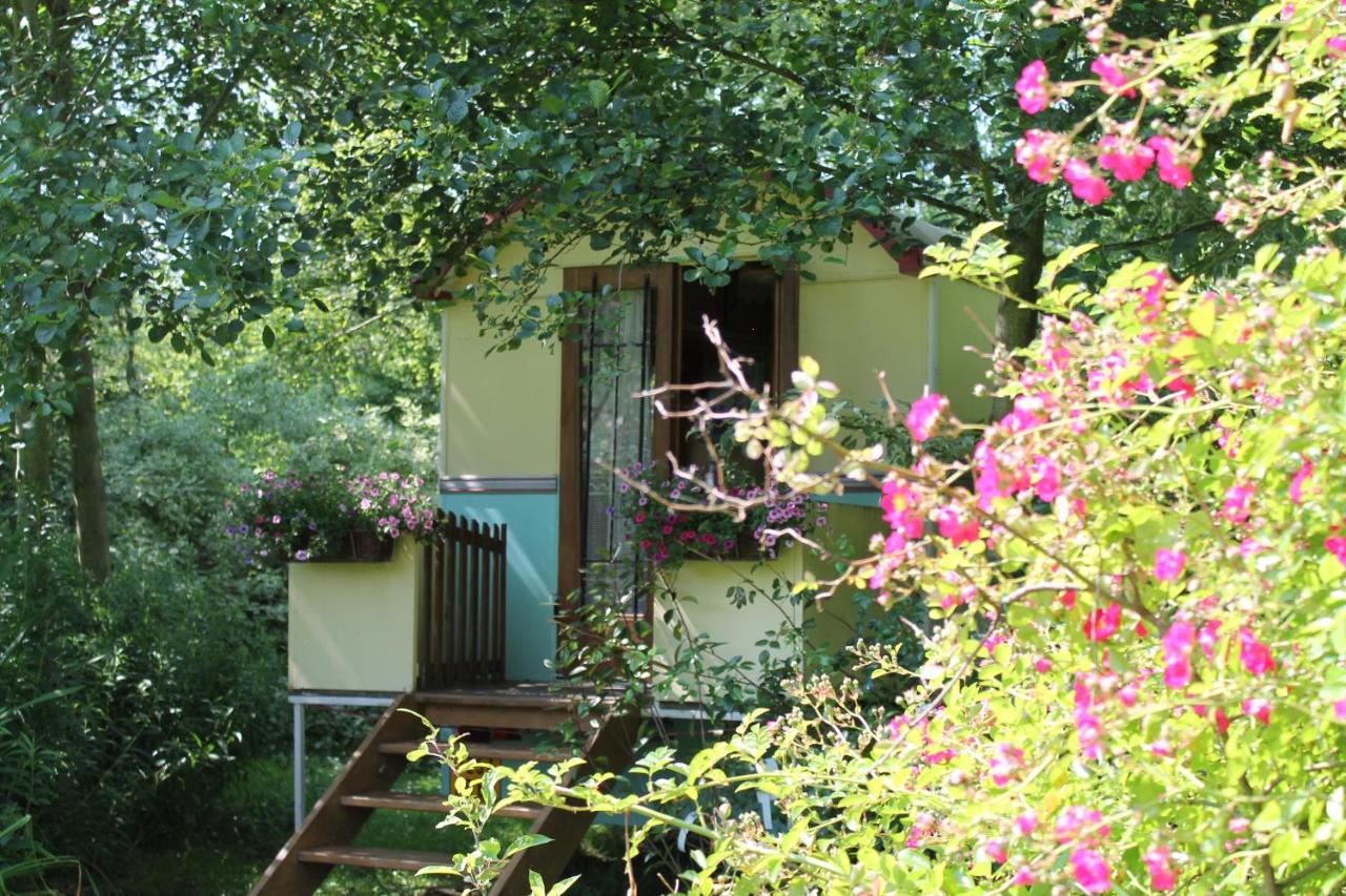 Caravana de madera con zona de cocina