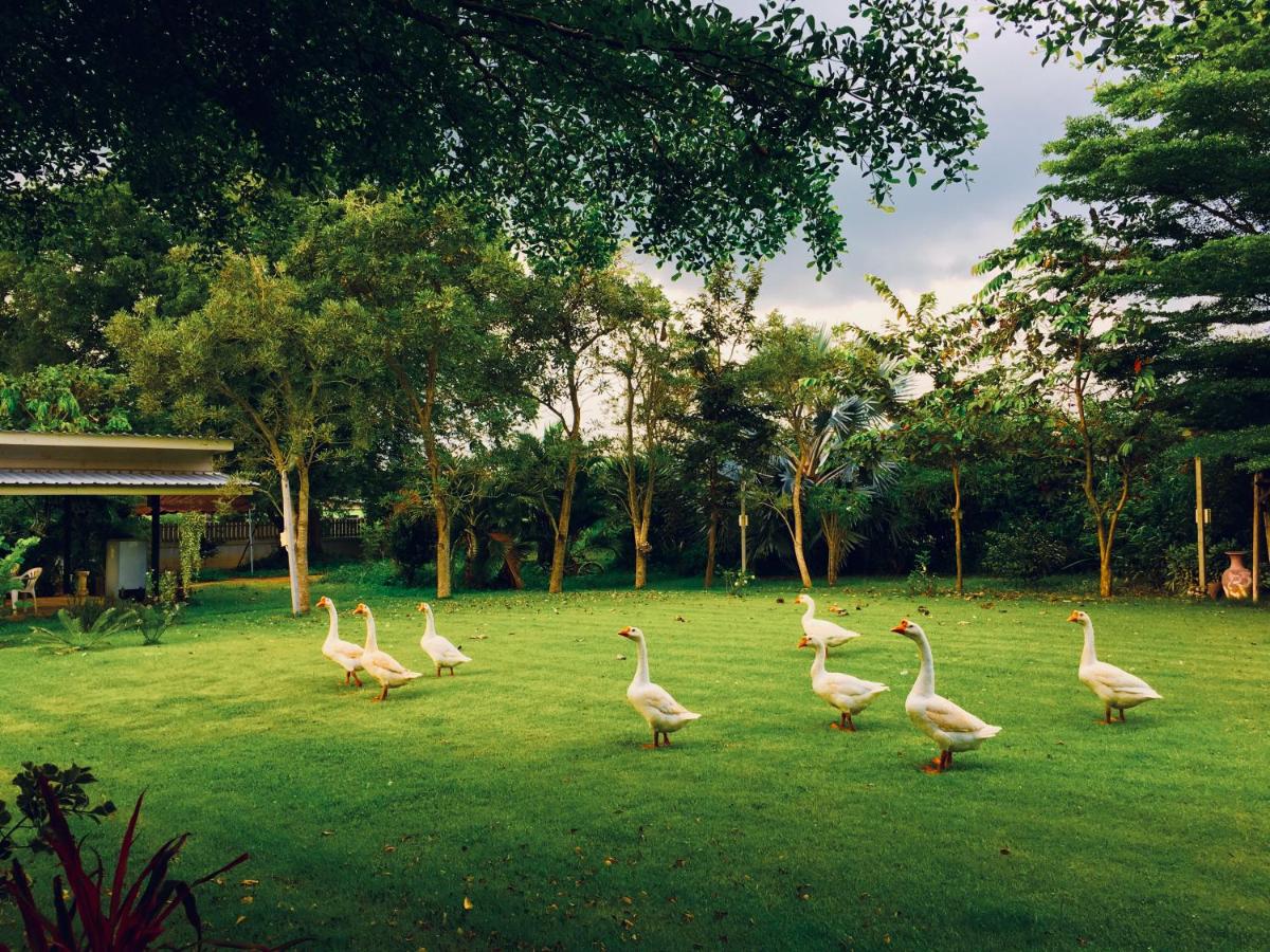 Better Weather Homestay - B&B