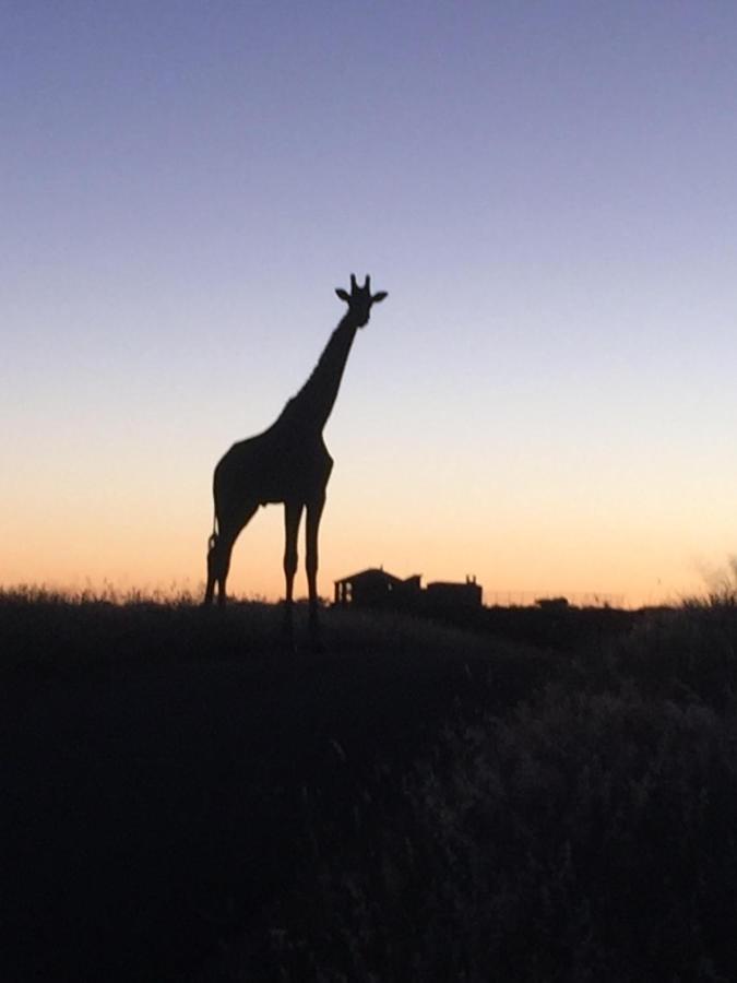 Windhoek Rural Self Catering - B&B