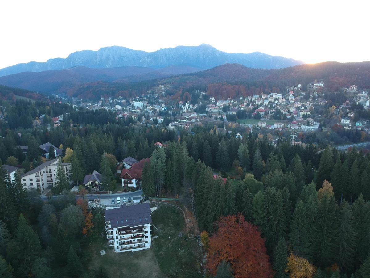 Nature House Predeal - B&B Predeal