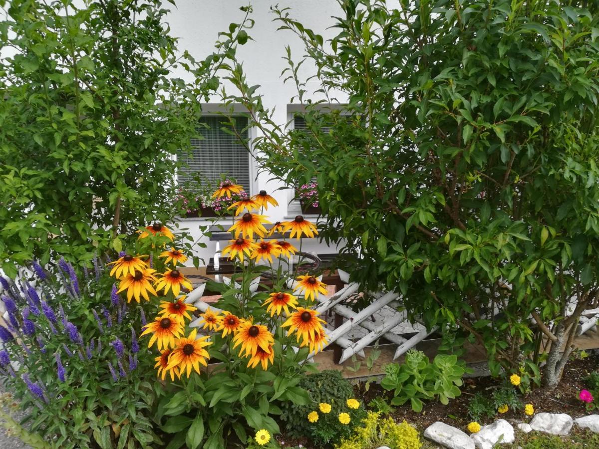 Apartmaji Groš - B&B