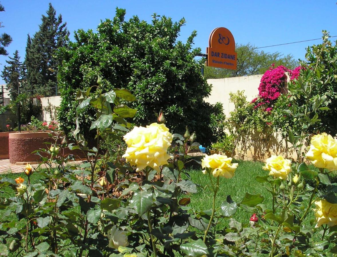 B&B Meknes - Riad Dar Zidane - Bed and Breakfast Meknes