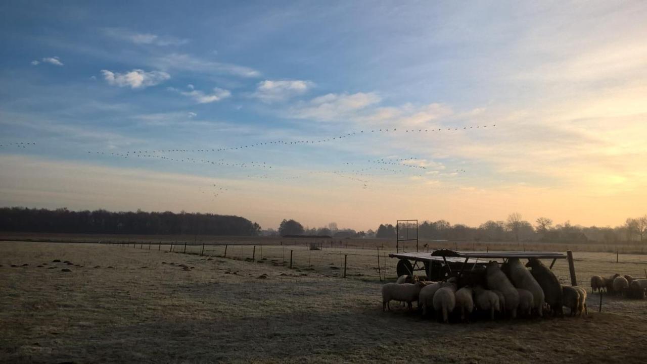 boerderijkamer Zwanebloem - B&B