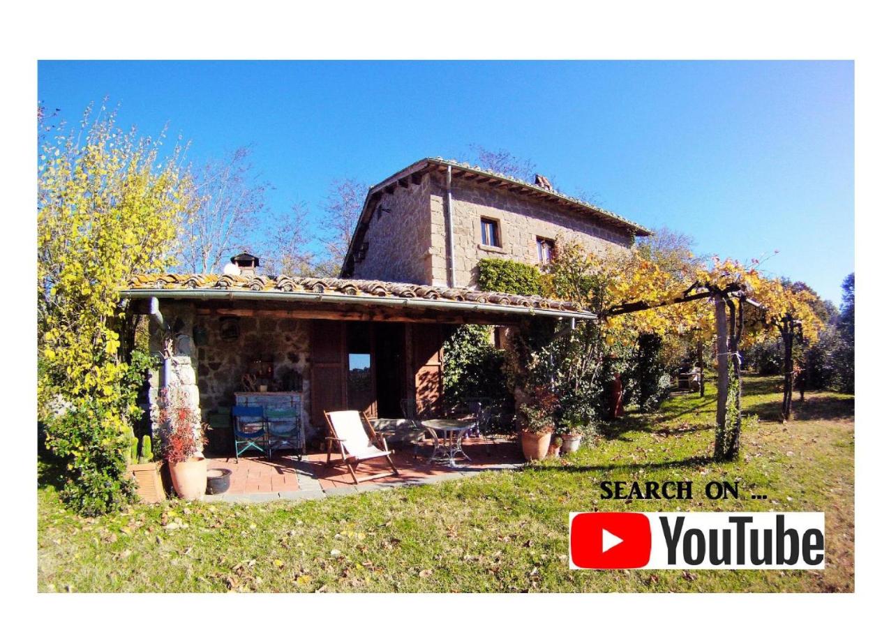 B&B Montefiascone - Iorio's Country House - Bed and Breakfast Montefiascone