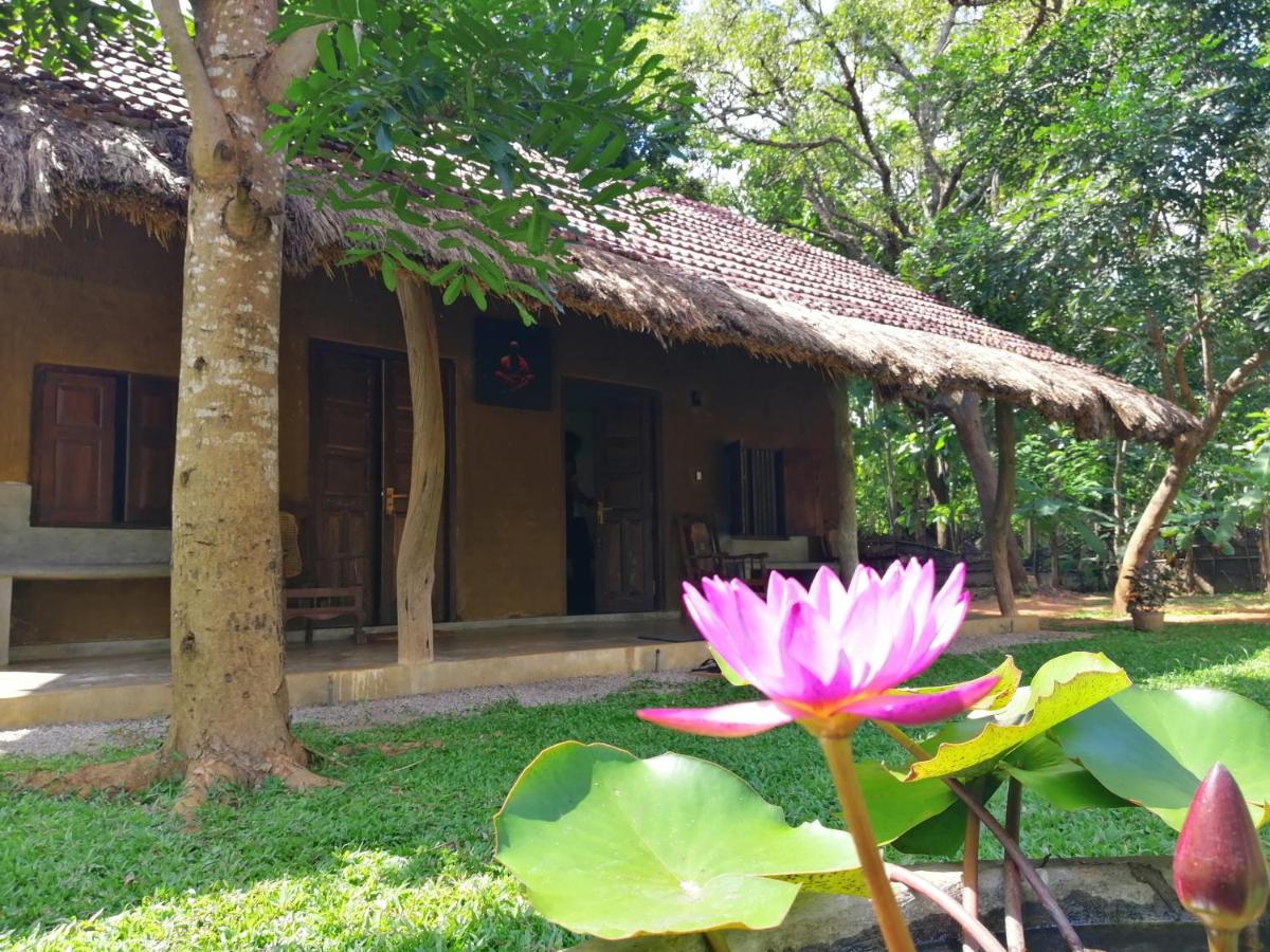 Ama Villa - B&B Habarana